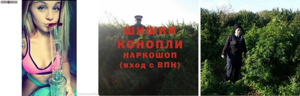 амф Бронницы