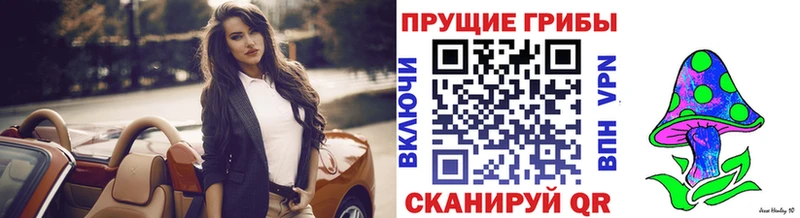 Псилоцибиновые грибы ЛСД omg ONION Дигора закладка